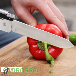 ��������� ��� ������� Roxon Multi BBQ Tool S601 (6 � 1)