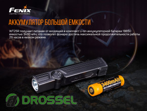       Fenix WT25R