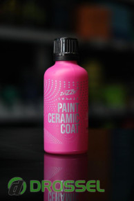 Zvizzer Paint Ceramic Coat