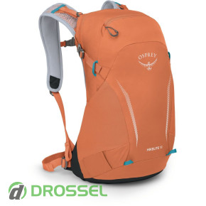   (18 ) Osprey Hikelite 18_11