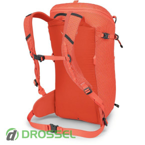   (22 ) Osprey Mutant 22_4