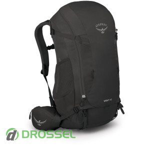Osprey Volt 45