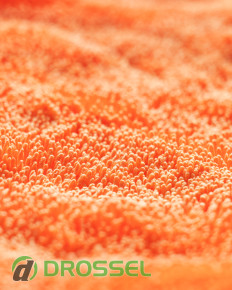 CarPro DHydrate Bold