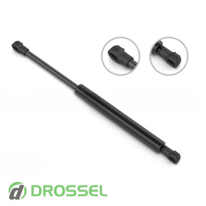 0895QR      Peugeot RCZ  Kia S