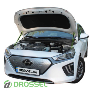 Ioniq 1