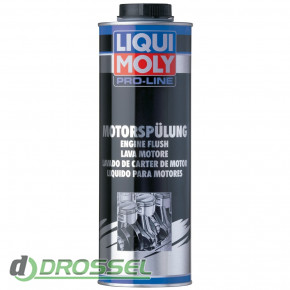 Liqui Moly Pro-Line Motorspulung-1