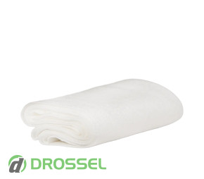 Soft99 Megami Headlight Refresh