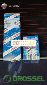  볺      Instagram (@drosselua)