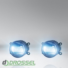 Osram LEDriving FOG (LED FOG 101)_5