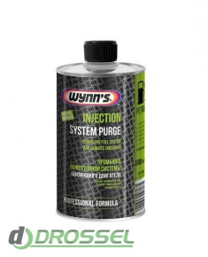  Wynn`s Injection System Purge 76695 (1)